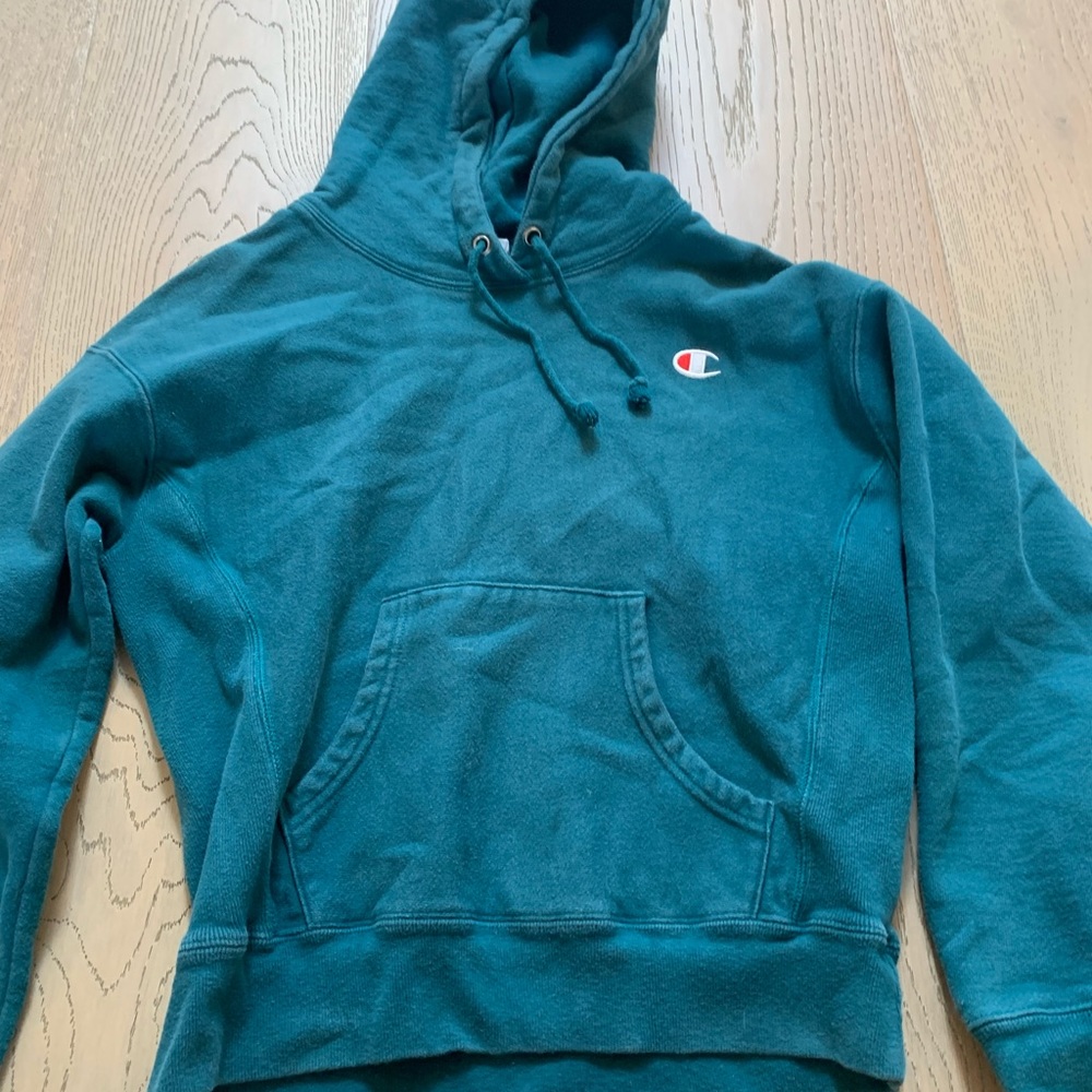blue champion hoodie
